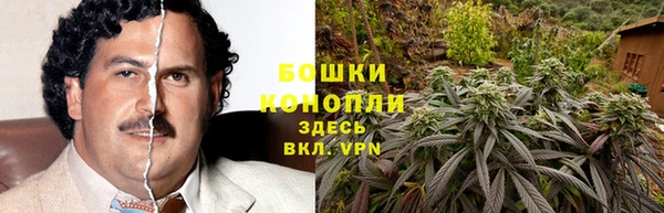 трава Куйбышев