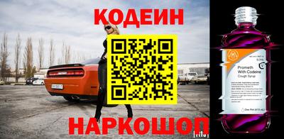 мдпв Камышлов