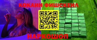 мдпв Камышлов