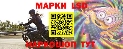 мдпв Камышлов