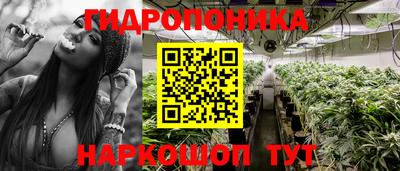 мдпв Камышлов