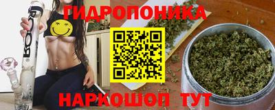 дурь Берёзовский