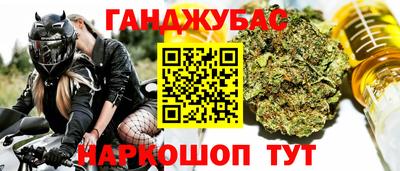 мдпв Камышлов