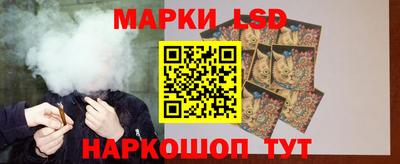 мдпв Камышлов