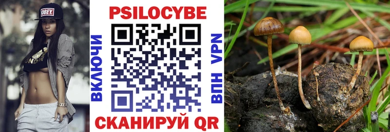 Галлюциногенные грибы Psilocybine cubensis  купить наркотики цена  Шали 